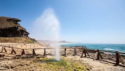 Frankincense Trail