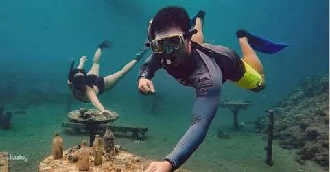 Anilao Snorkeling Tour from Manila | Philippines