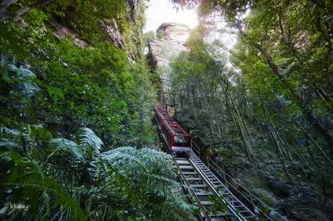Small Group Blue Mountain Day Tour with Scenic World, Lunch and River Cruise｜Sydney