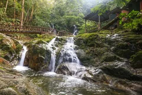 Half-Day Templer Park Shared Tour | Kuala Lumpur