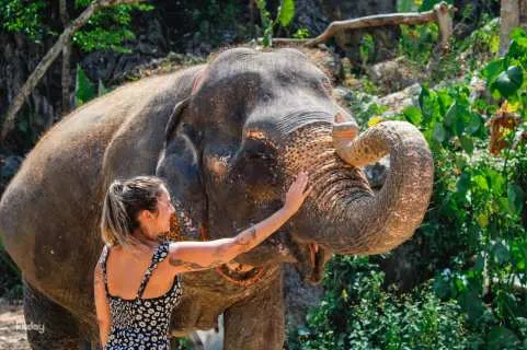 Krabi Aonang Elephant Sanctuary Half-Day Experience | Thailand