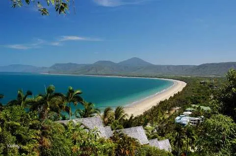 Day Tour with Cairns Transfer: Cape Tribulation, Daintree & Wildlife | Queensland, Australia