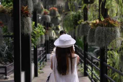 Nong Nooch Tropical Garden Admission Ticket | Pattaya
