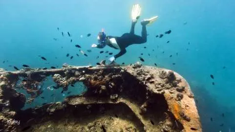 Coron Palawan Reef & Wrecks Tour: Pass Island, Lusong Gunboat, Lusong Coral Garden | Philippines