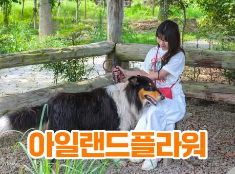 Jeju Island Flower Zoo: Admission Ticket | South Korea