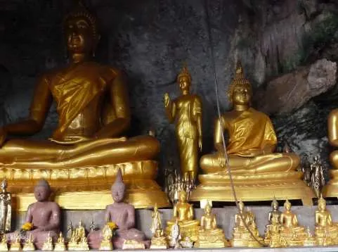 The Wonders of Thailand's Last Lowland Rainforest