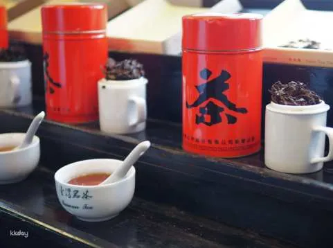 Taihong Tea Culture Museum Guided Tour with Tea Tasting Experience | Chinese, English, and Japanese Tours | Hsinchu
