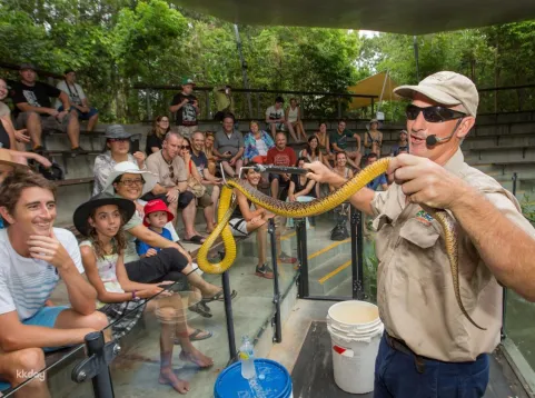 Kuranda Day Tour: Scenic Rail, Skyrail & Hartley's Crocodile Adventures | Queensland