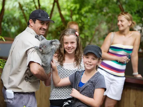 Hartley's Crocodile Adventures from Cairns | Queensland