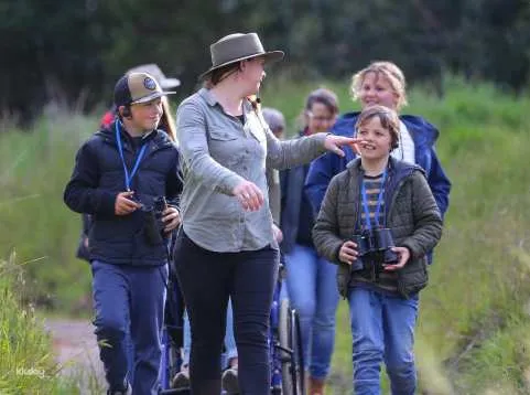 Great Ocean Road Walk with Wildlife Guided Tour | Victoria
