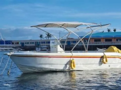 Cebu Mactan Speedboat Rental for Island Visit | Philippines