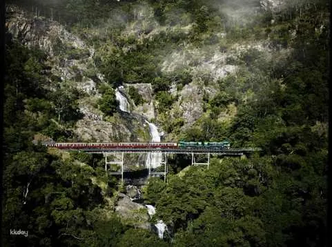 Kuranda Day Tour - Train Up & Skyrail Down with Transfer from Cairns | Queensland