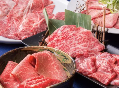 Hokkaido Gourmet | Niku Kappo Tamura Odori BISSE Branch | Hokkaido Wagyu BBQ Set Meal