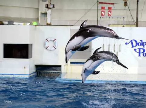 Noboribetsu Marine Park Nixe Admission Ticket in Hokkaido | Japan