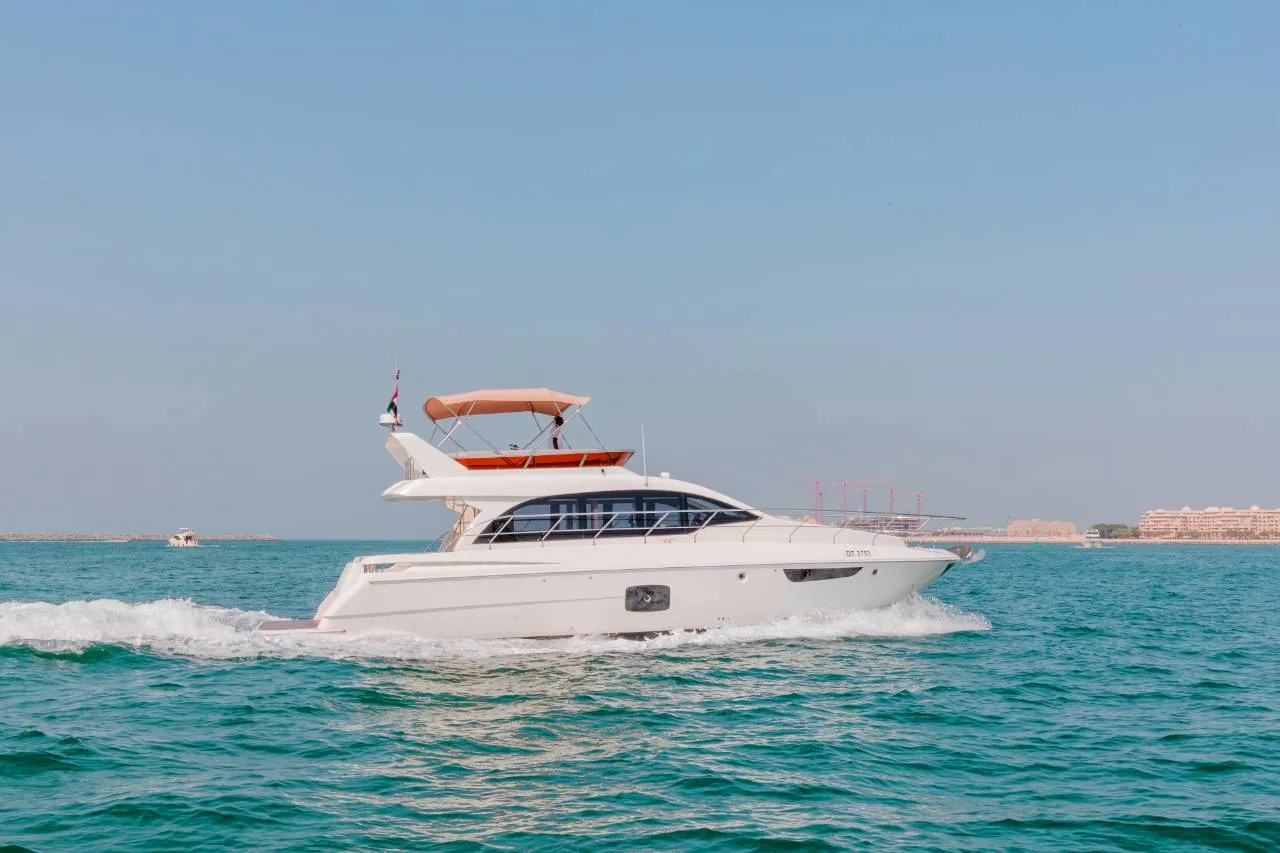 C-52 NEO *NEW MODEL*